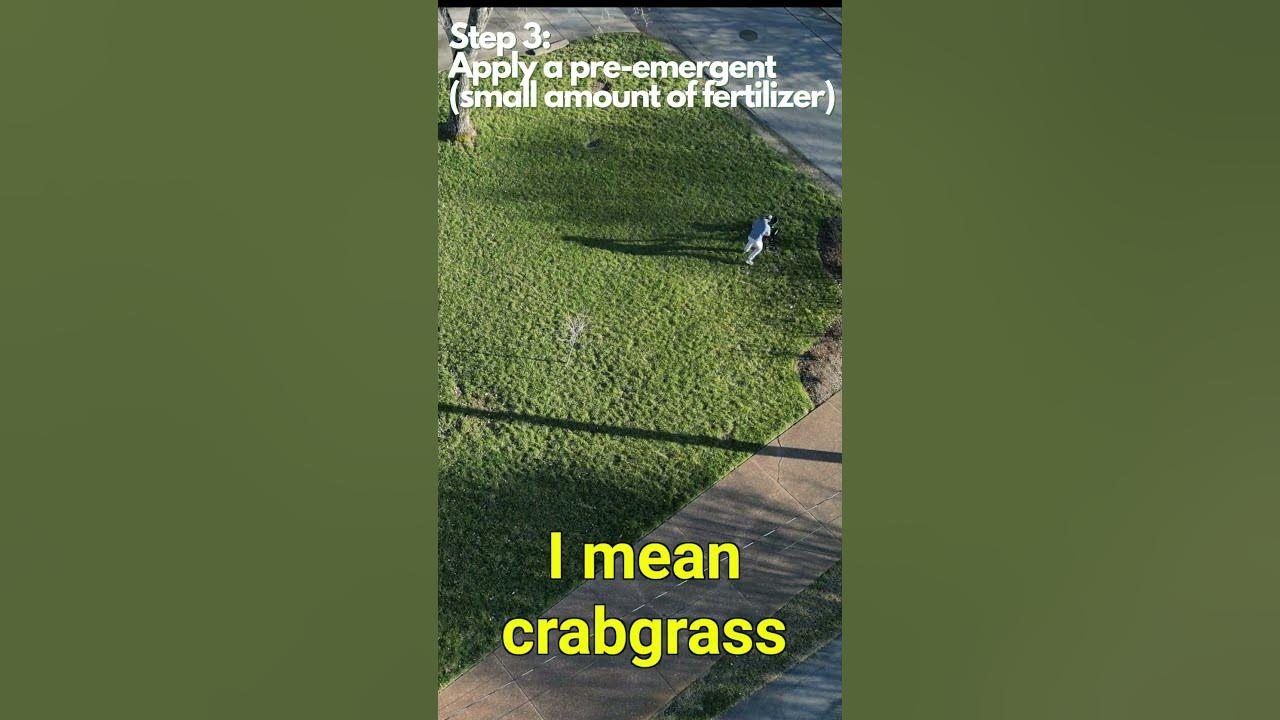 Video thumbnail for How To Prepare Lawn For Spring: FUNDAMENTALS