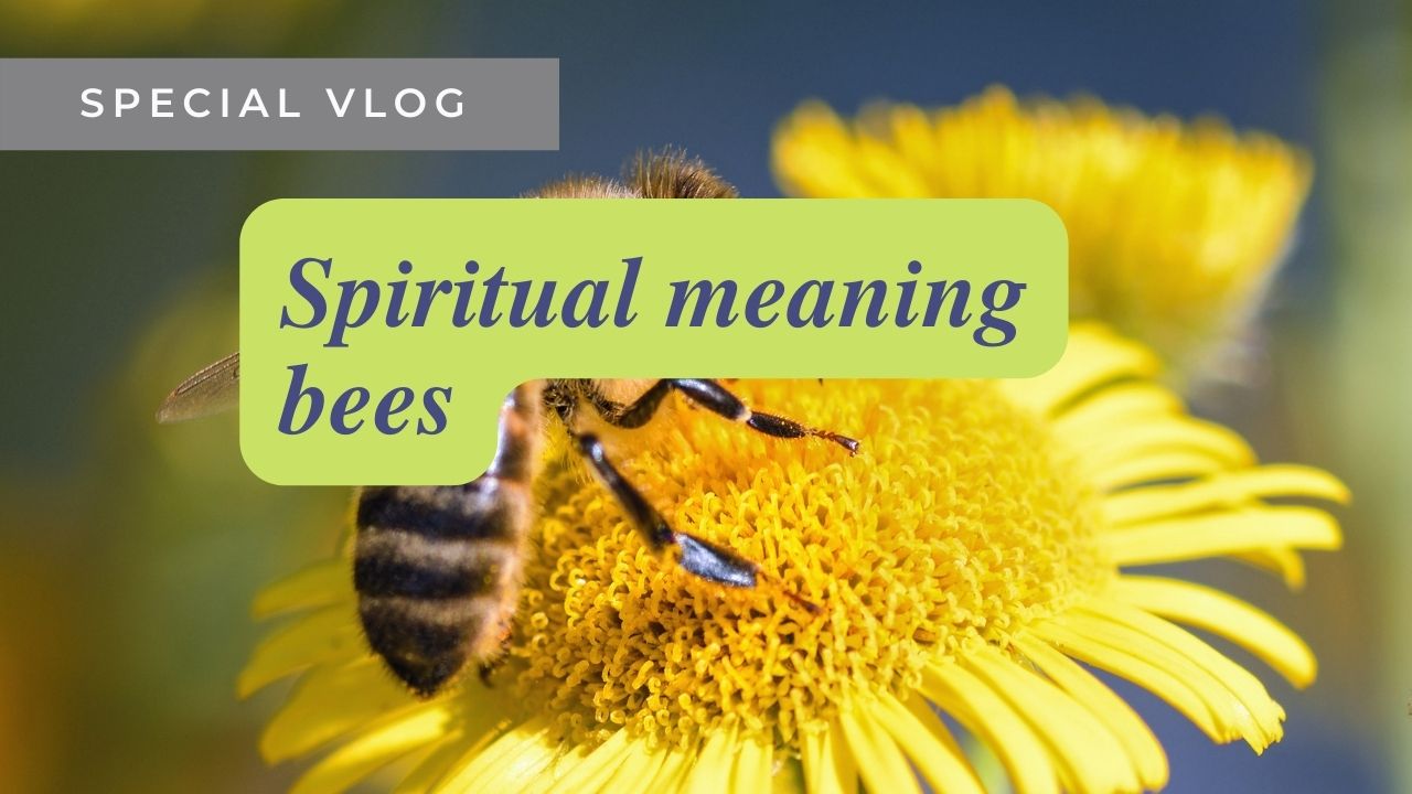 Video thumbnail for Spiritual meaning of bees video