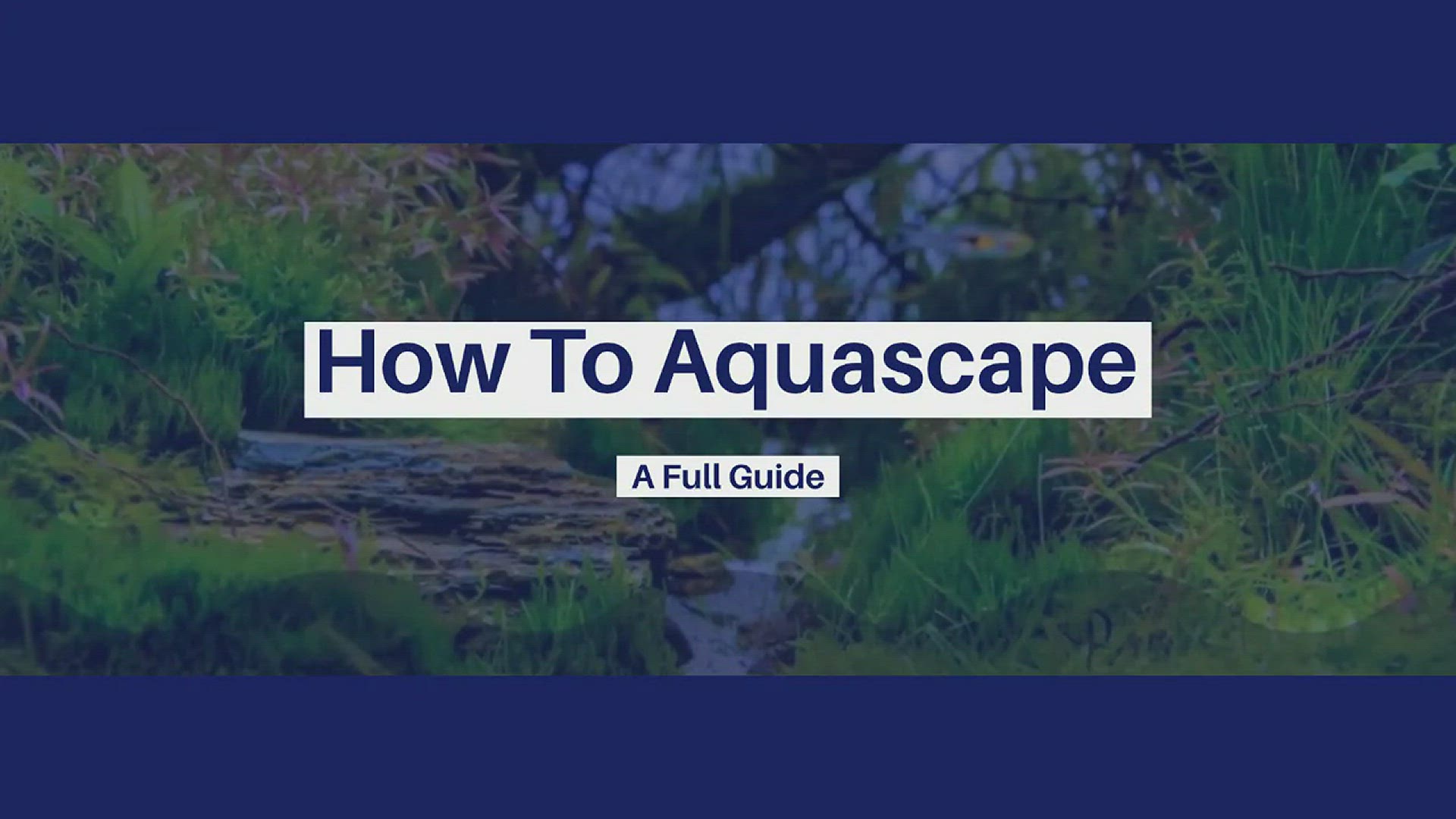 Video thumbnail for How To Aquascape