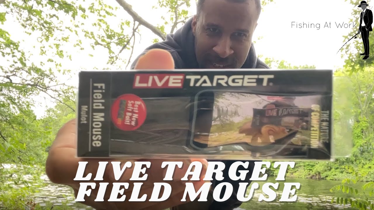 'Video thumbnail for Live Target Field Mouse Review - Rat Lure Fishing Tips - Topwater Rat Lure In Lily Pads and Trees'