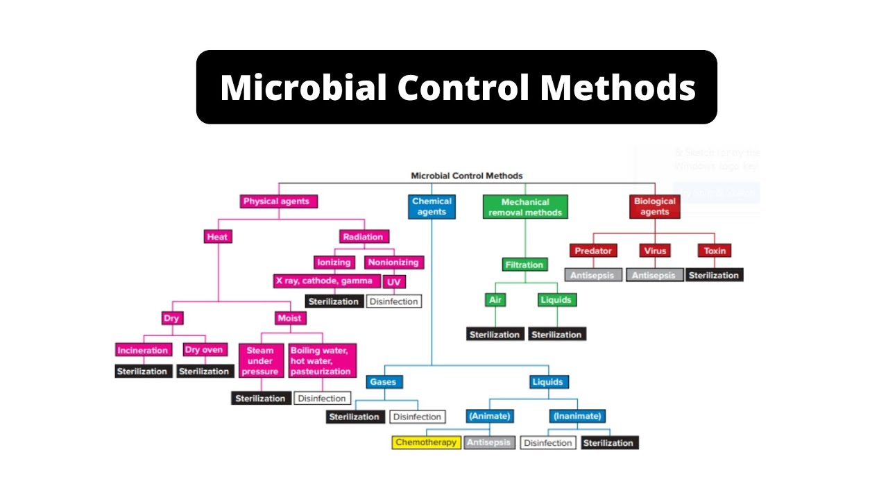 Video thumbnail for Microbial Control Methods