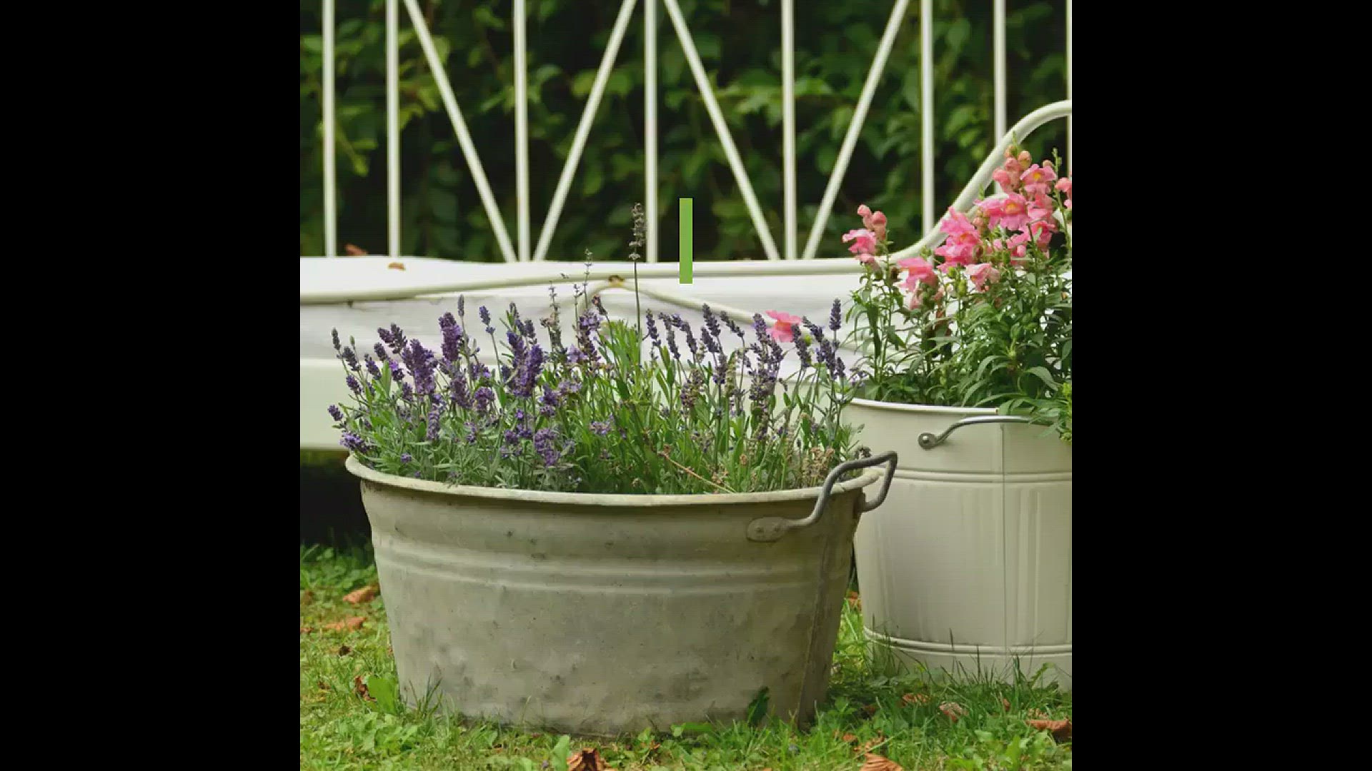 'Video thumbnail for 10 Best DIY & Cheap Container Vegetable Gardening Ideas Anyone Can Use'
