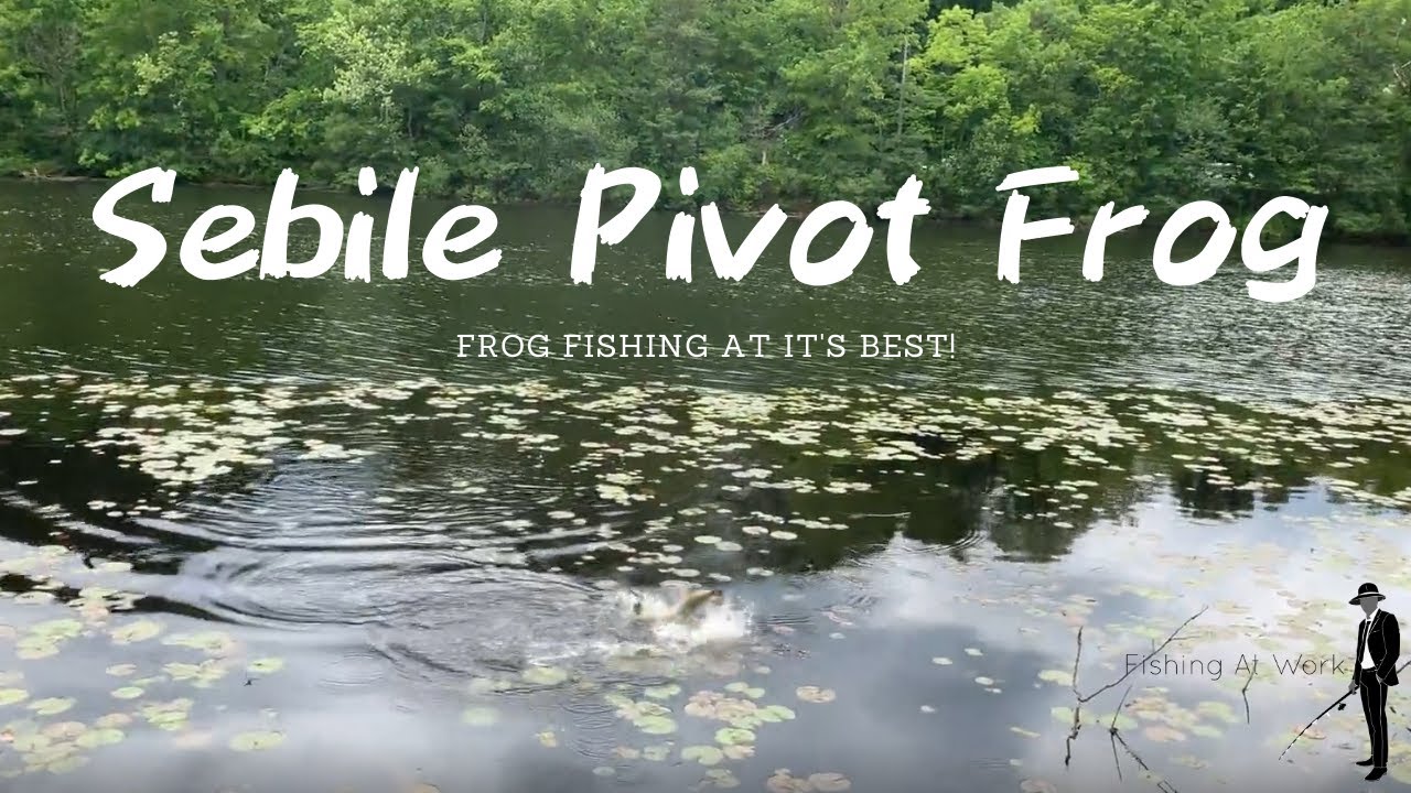 'Video thumbnail for Sebile Pivot Frog Lure Review - I Lose A Big Bass At The End!'