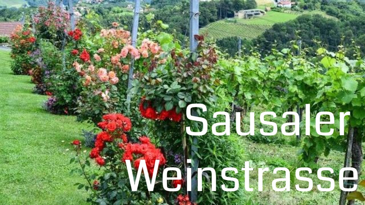 'Video thumbnail for Auf Genuss Tour entlang der Sausaler Weinstrasse'
