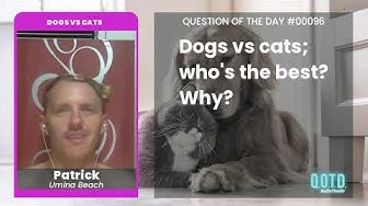 Video thumbnail for Dogs vs Cats? Man's best friend, obviously. Cats are arrogant and lazy.