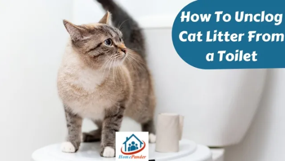 'Video thumbnail for How To Unclog Cat Litter From a Toilet?'