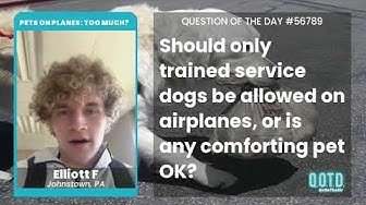 Video thumbnail for Elliott supports all service animals on planes... within reason!