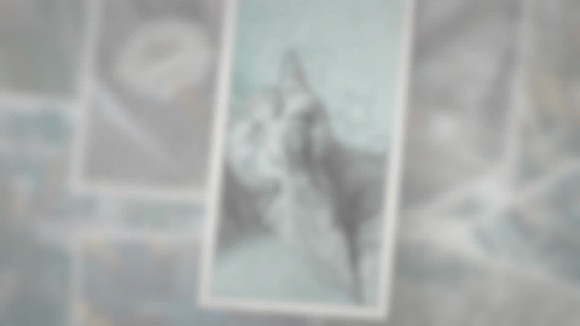 Video thumbnail for why do cats put their tongue out?