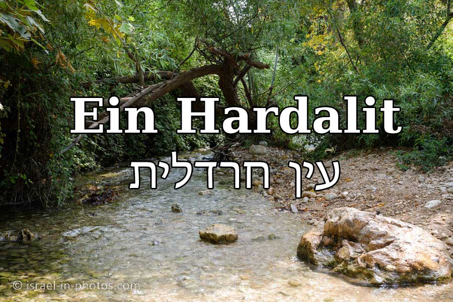 'Video thumbnail for Ein Hardalit'