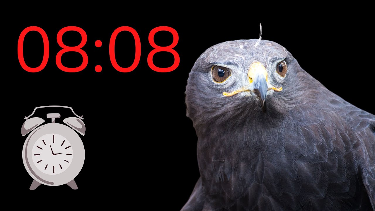 'Video thumbnail for Heure Miroir 08:08 : vraiment de MAUVAIS AUGURE ? ⏰'