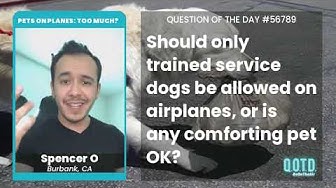 Video thumbnail for Spencer says any service animal can come on planes. As long as they don't disturb!