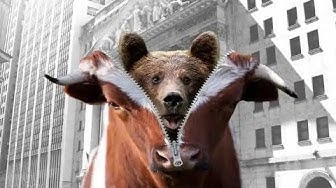'Video thumbnail for The Bear Market Survival Handbook: What You Need to Know #stockmarket'
