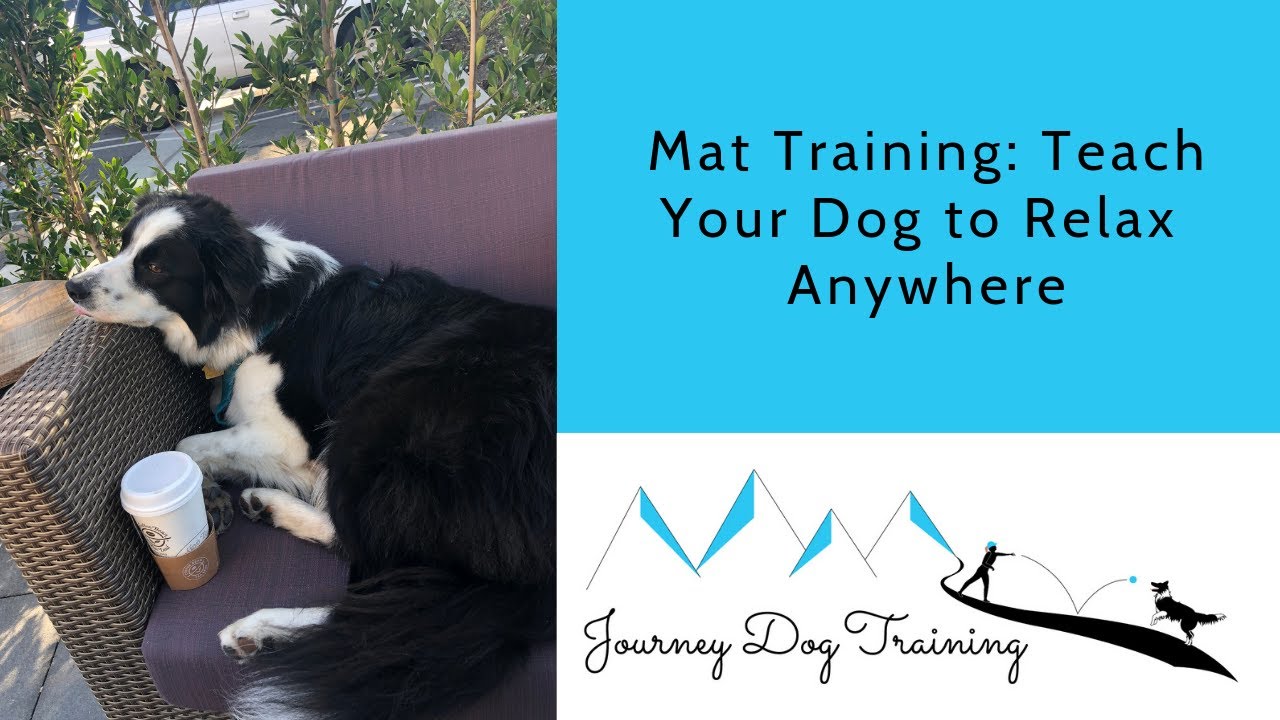 'Video thumbnail for Mat Training | Journey Dog Training'
