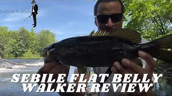 'Video thumbnail for Sebile Flat Belly Walker Review - Smallmouth Bass Action!'