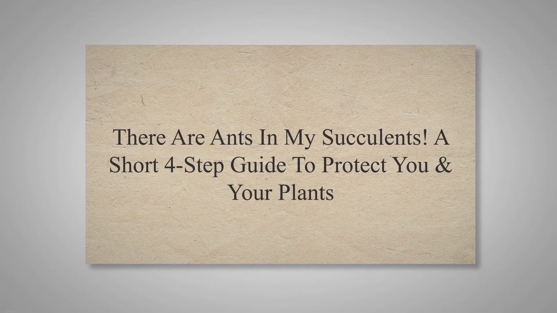 Video thumbnail for There Are Ants In My Succulents! A Short 4-Step Guide To Protect You & Your Plants