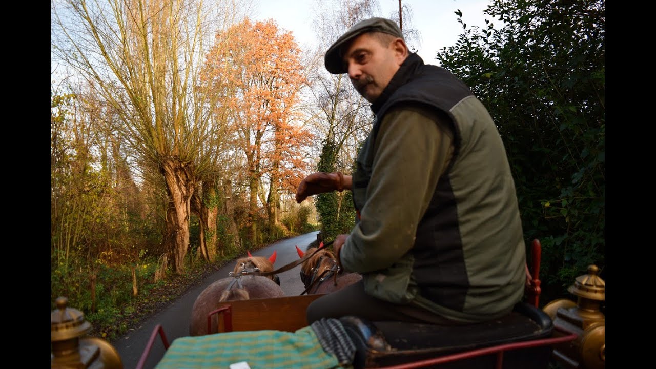 'Video thumbnail for Kutschfahrt Abenteuer in Monheim am Rhein: Durch die Urdenbacher Kämpe'