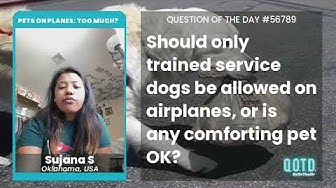 Video thumbnail for Sujana says all service animals should be allowed on planes. Nice!