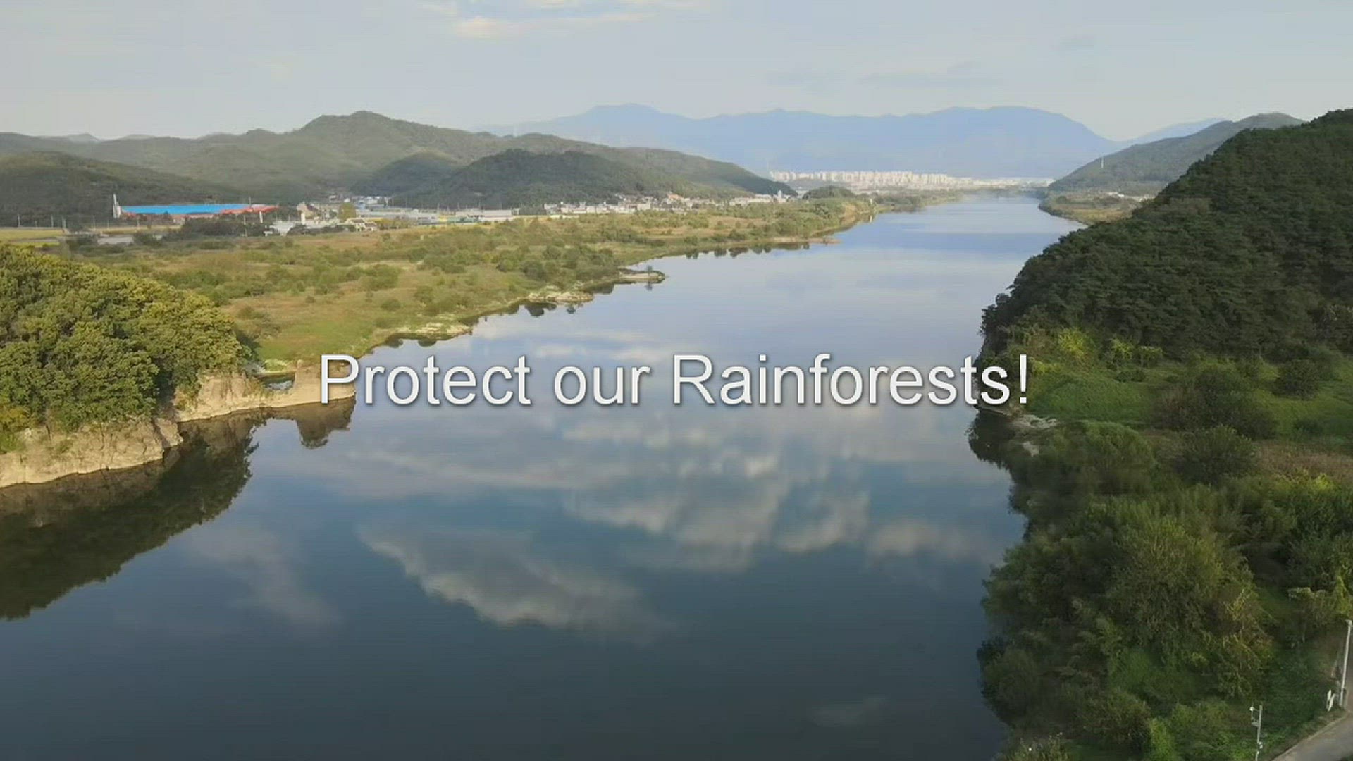 Video thumbnail for Protect our Rainforests!