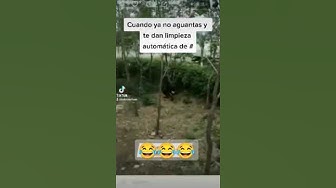 'Video thumbnail for cuando yano aguantas y te dan limpieza Automática #reels 👌😂😂'
