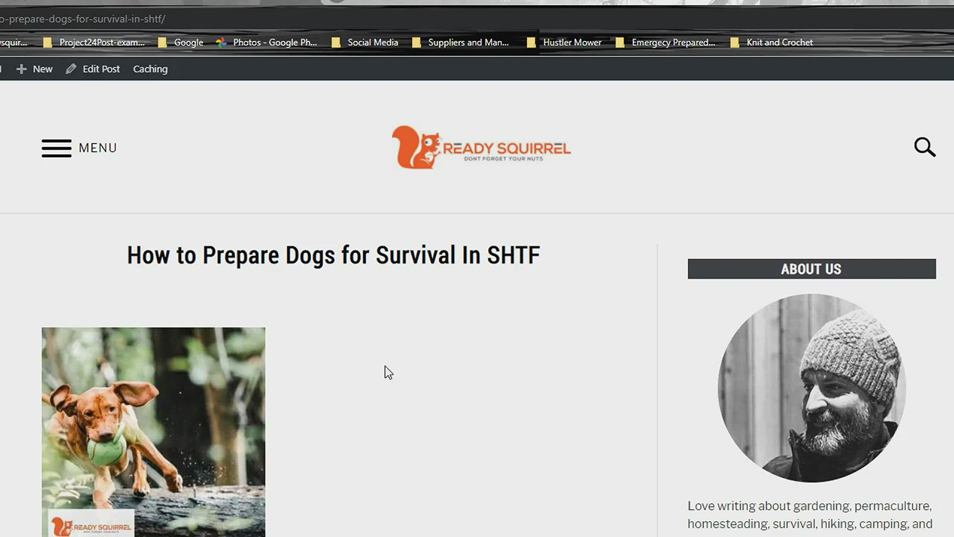 'Video thumbnail for How to Prepare Dogs for Survival In SHTF'