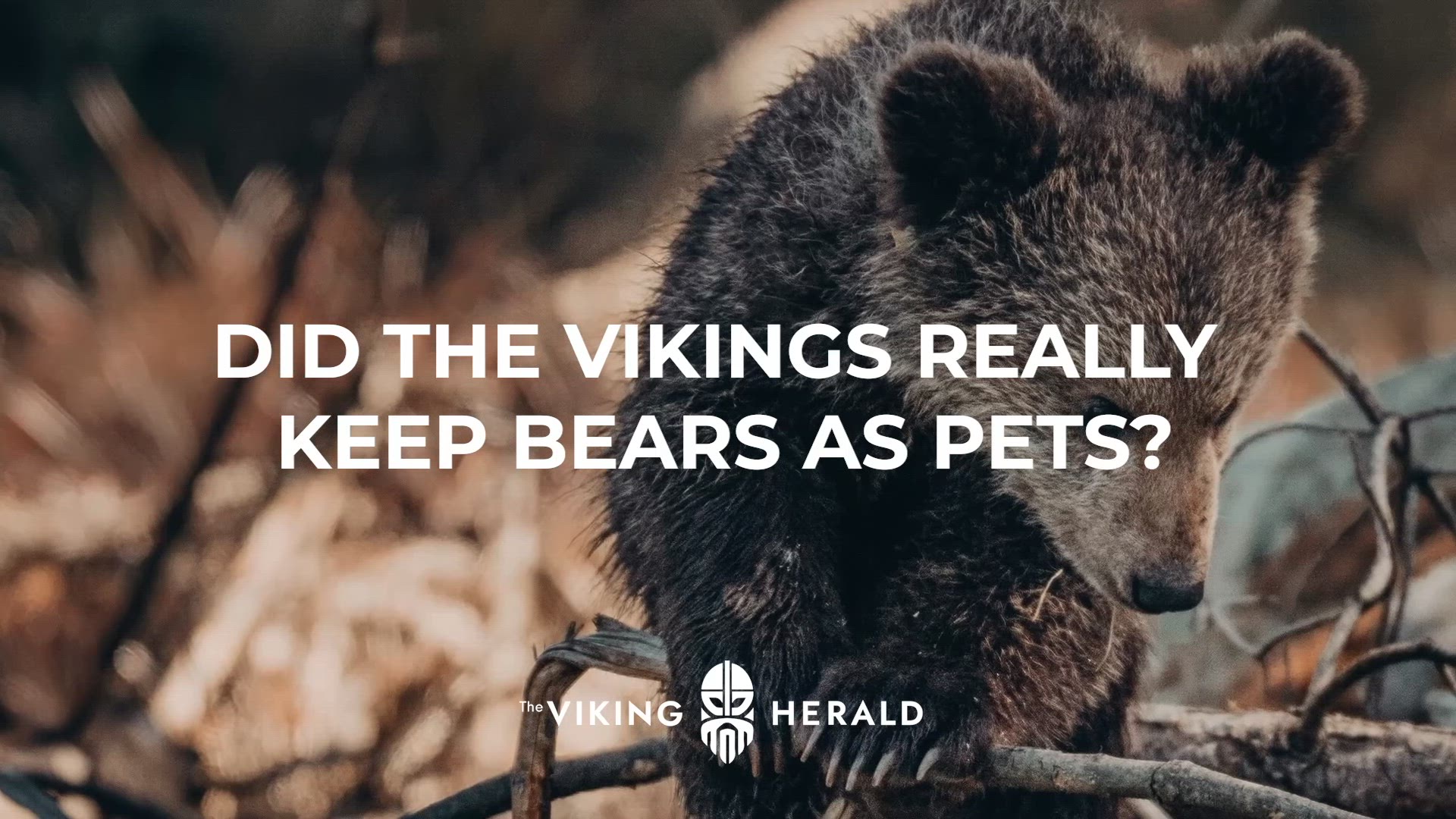 'Video thumbnail for Did the Vikings really keep bears as pets?'