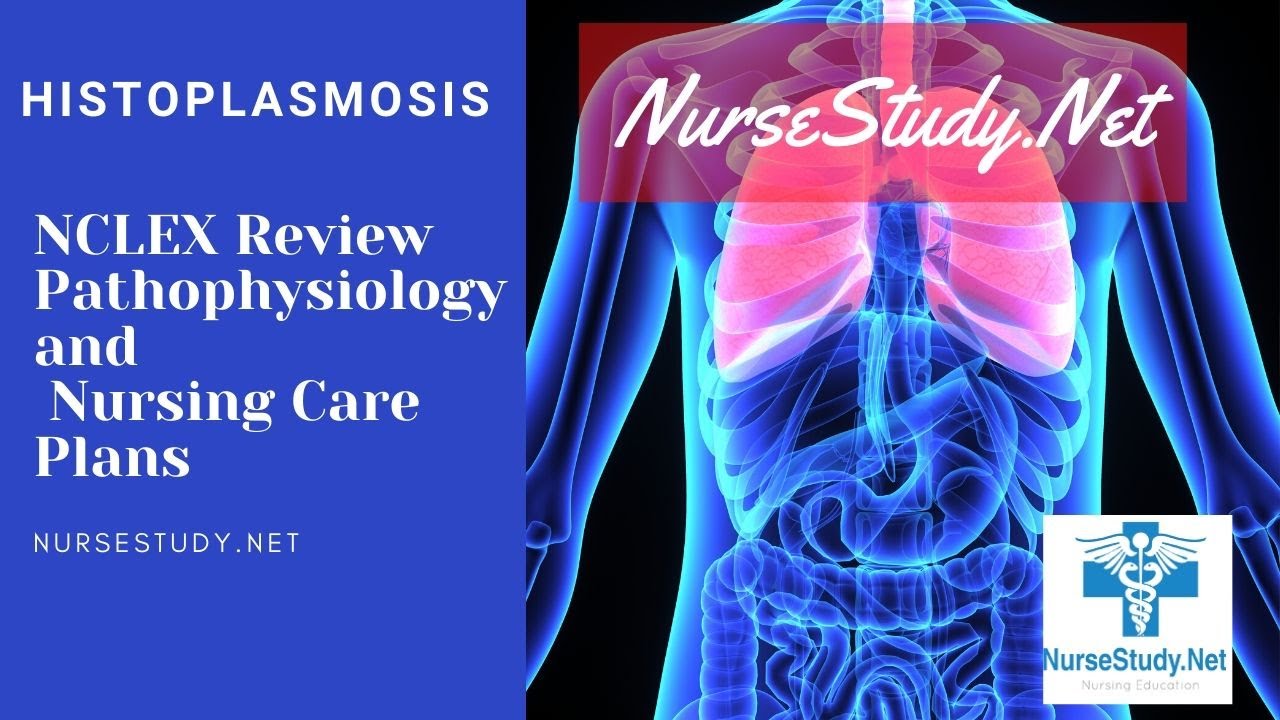 'Video thumbnail for Histoplasmosis Symptoms Treatment Nursing Care Plan for Nursing Students NCLEX Help'