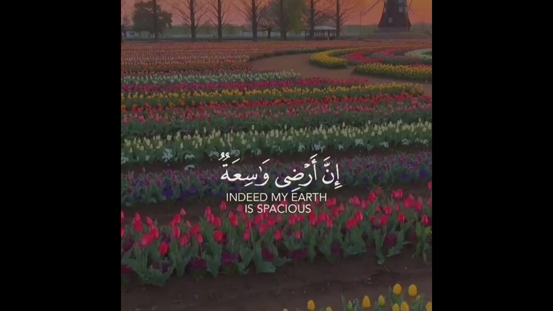'Video thumbnail for Kullu Nafsin Zaikatul Maut Meaning In English And Arabic Text'