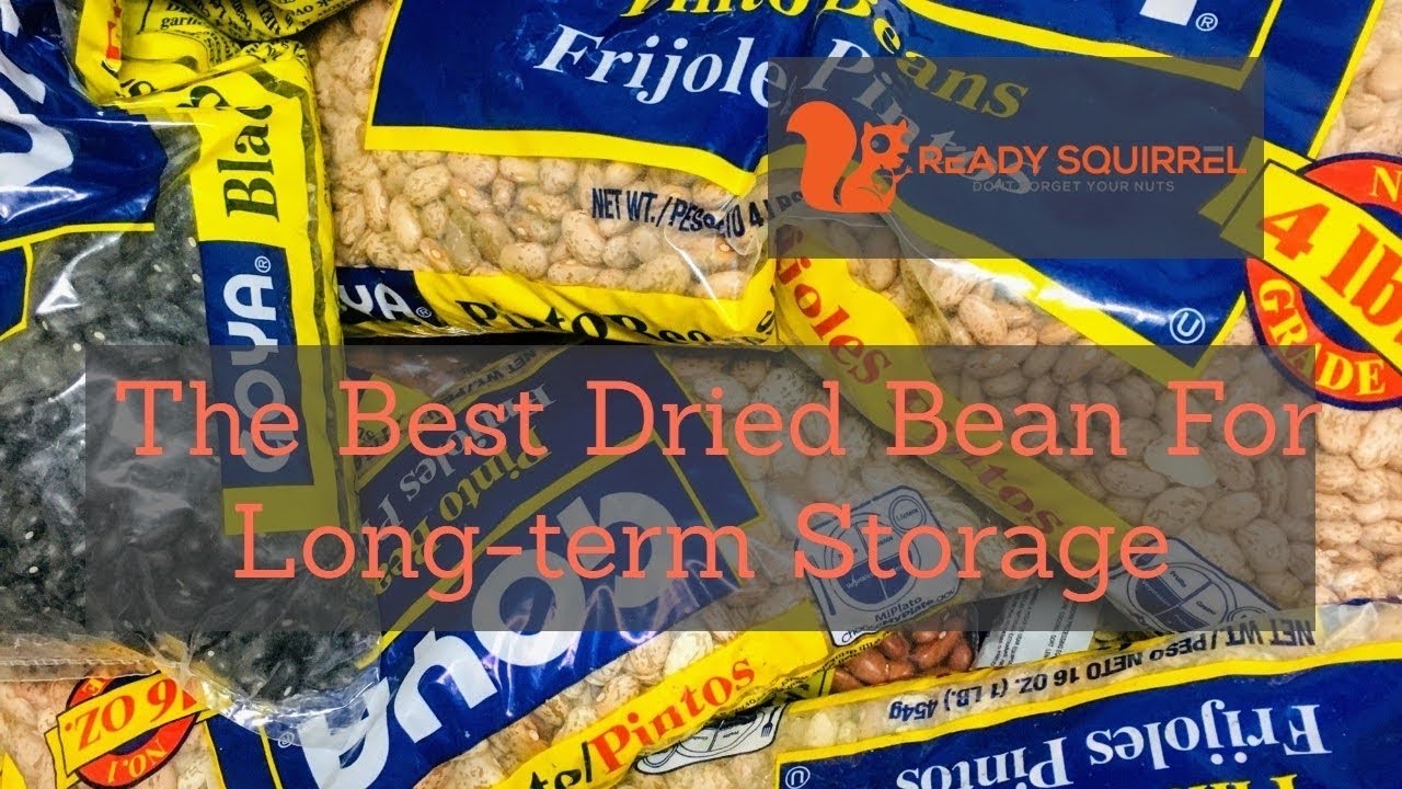 'Video thumbnail for What Dried Bean Is The Best For Long-term Storage?'