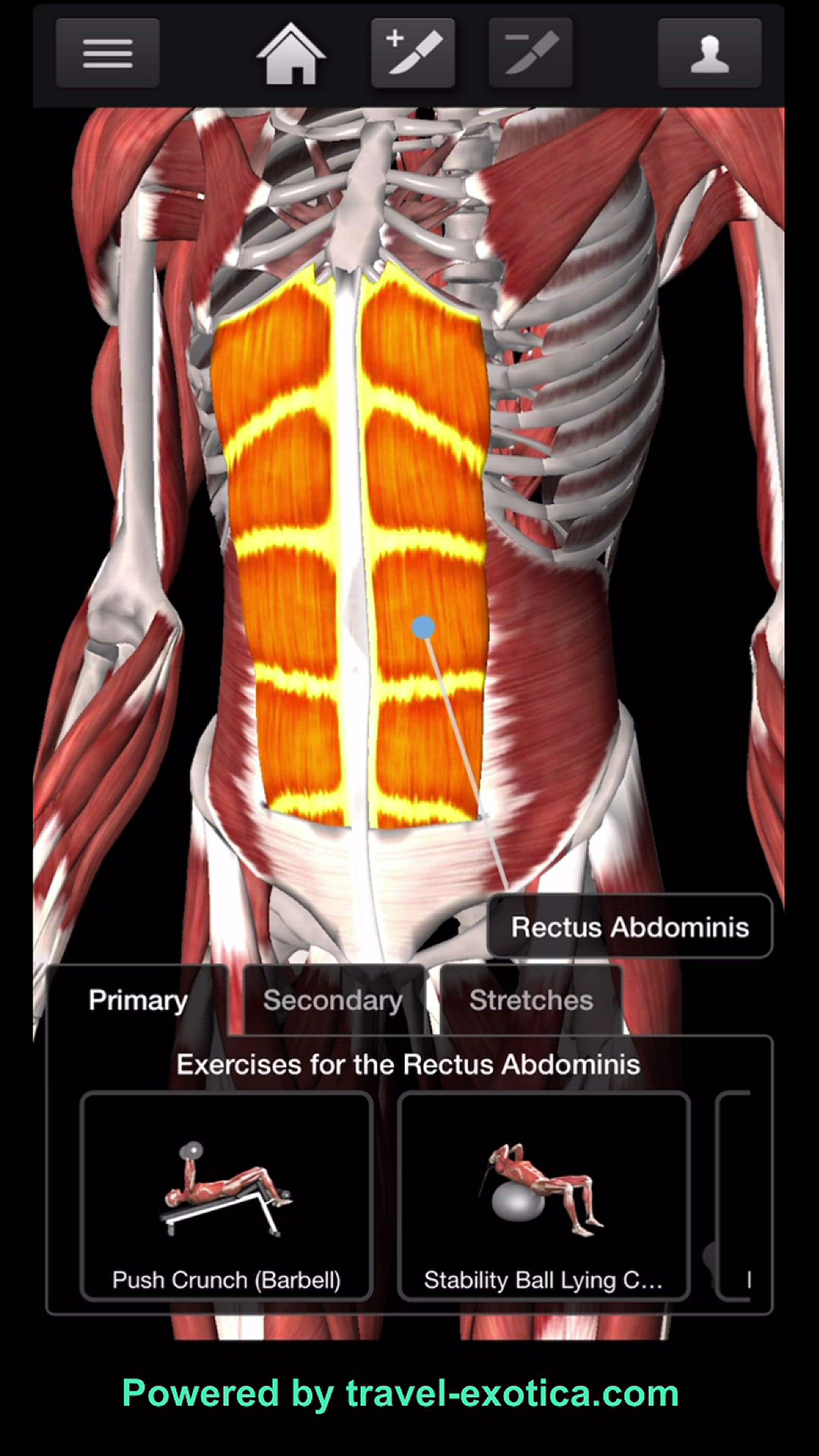 Video thumbnail for Bodybuilding - Abdomen 6 Packs Workouts