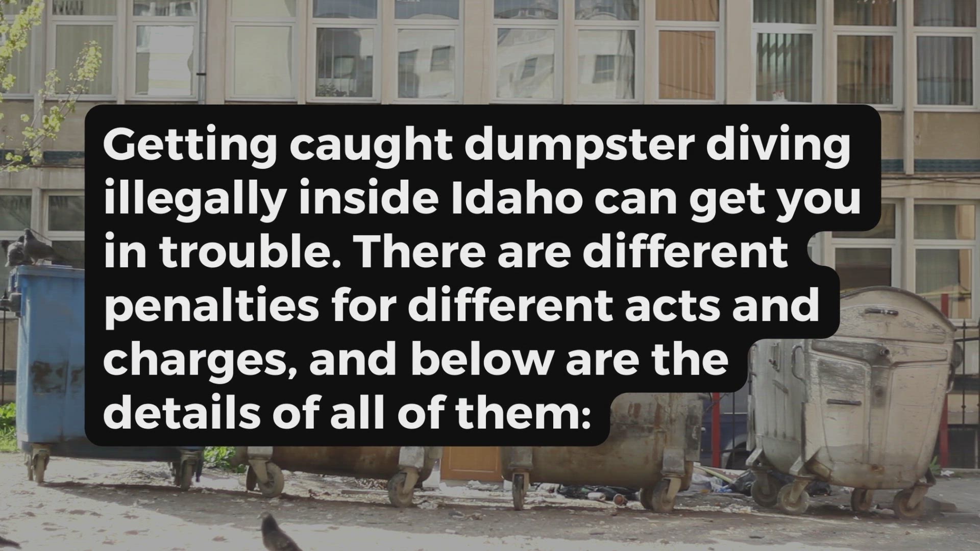 Video thumbnail for Dumpster Diving in Idaho