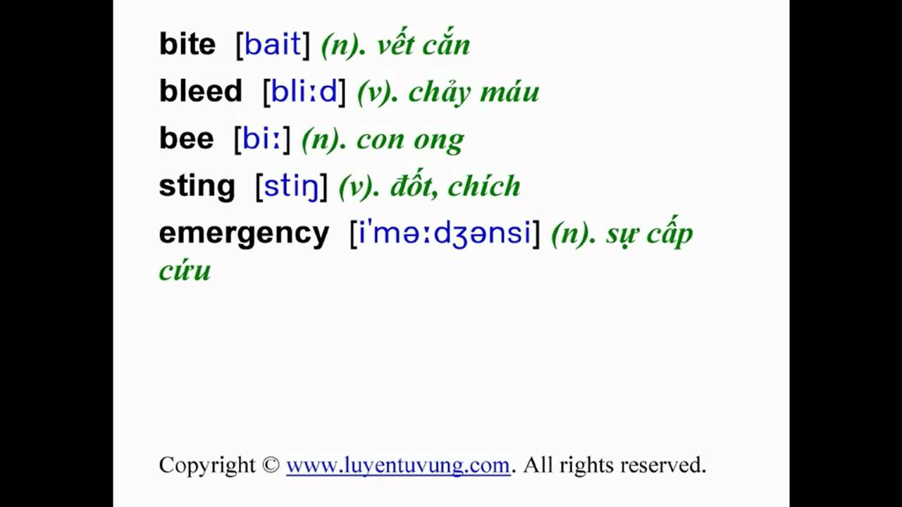 'Video thumbnail for Learn English Vocabulary - Grade 8 - Unit 09 - Lesson 01'