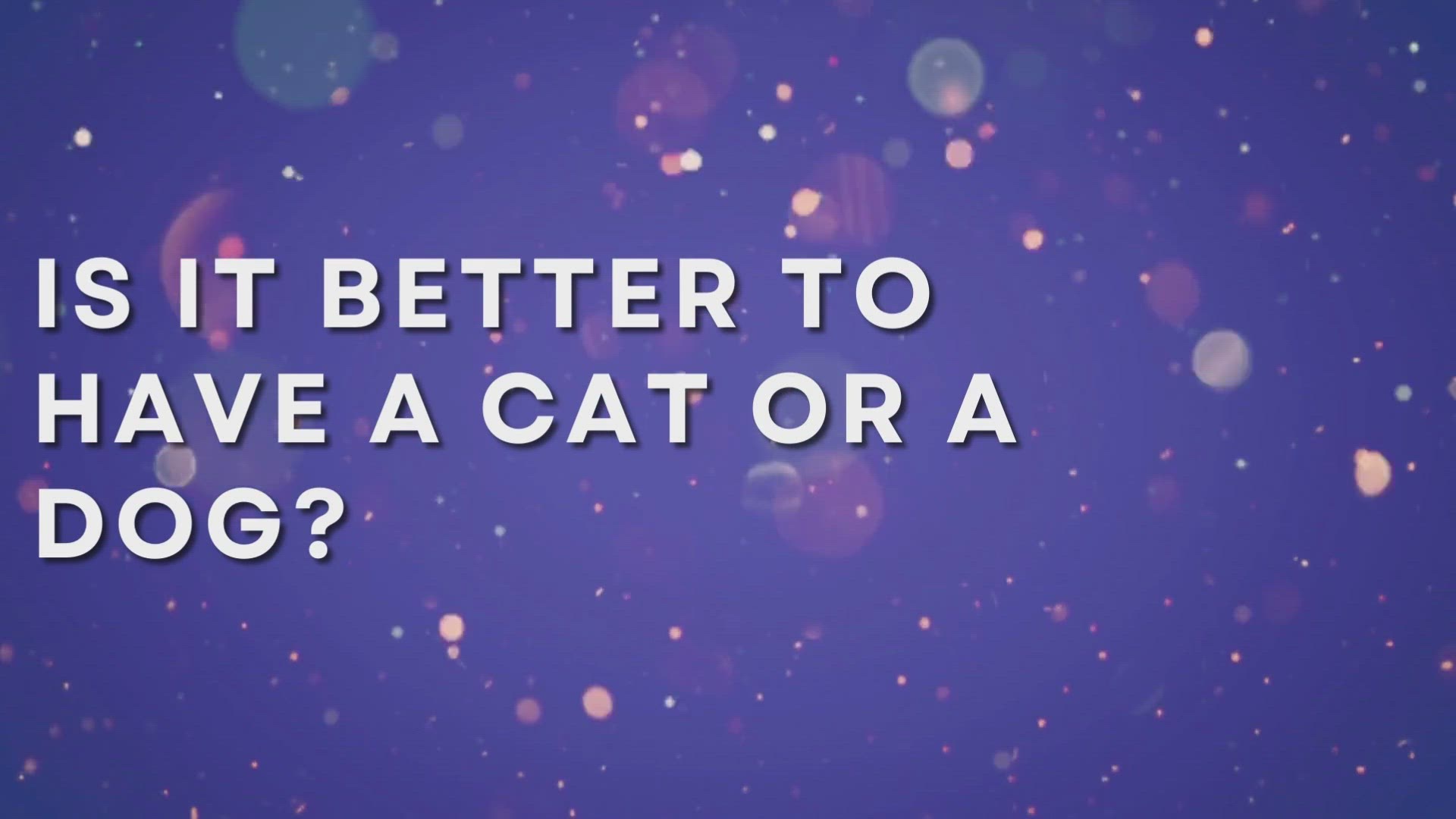 'Video thumbnail for Is It Better To Have A Cat Or A Dog'