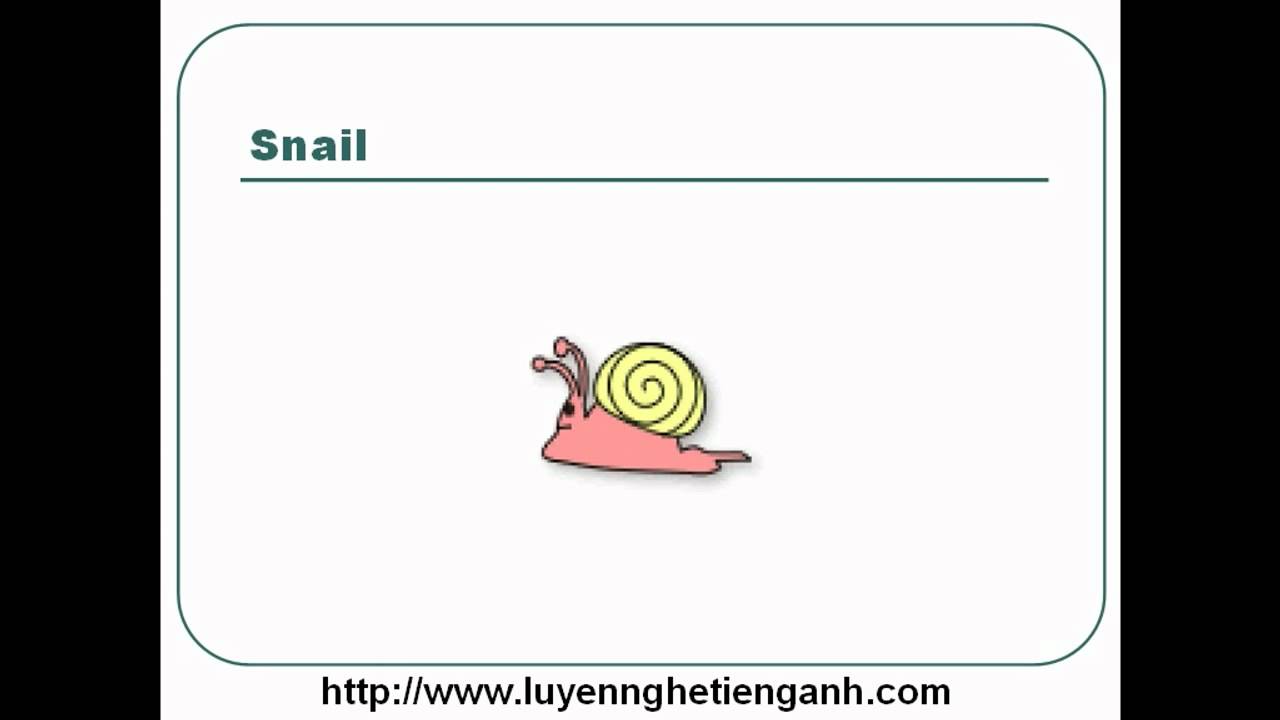'Video thumbnail for Learn English Vocabulary Through Pictures - Topic - Lawn and Yard Lesson 01'