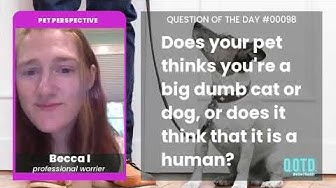 Playlist thumbnail for QOTD #00098: Your Pet's POV