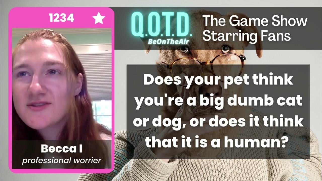 Video thumbnail for Our Favorite Answers: Becca says dogs, like elephants, see us as adorable pets. How sweet!