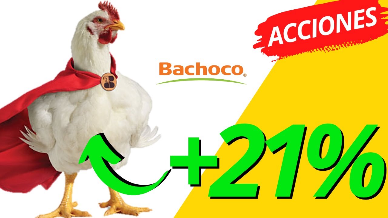 'Video thumbnail for Una acci贸n con muchos HUEVOS (bachoco)'