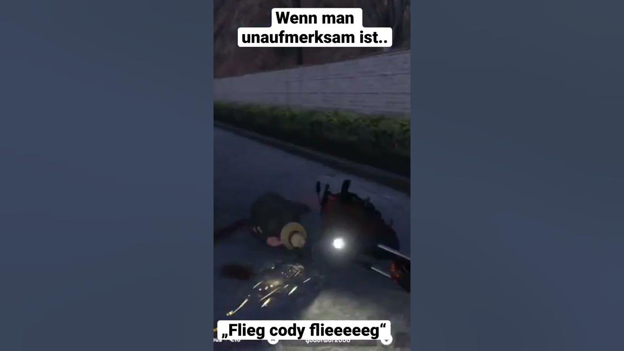 Video thumbnail for Wir lernen fliegen! - #twitch #twitchclips #twitchstreamer #twitchtv #lustigevideos #statev #gta5