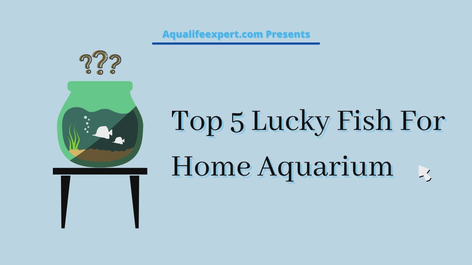 Video thumbnail for Top 7 Lucky Fish For Home Aquarium