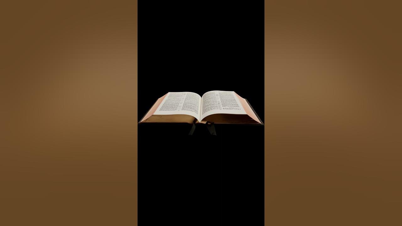 'Video thumbnail for Romanos 8:28 es un versículo bíblico favorito.'