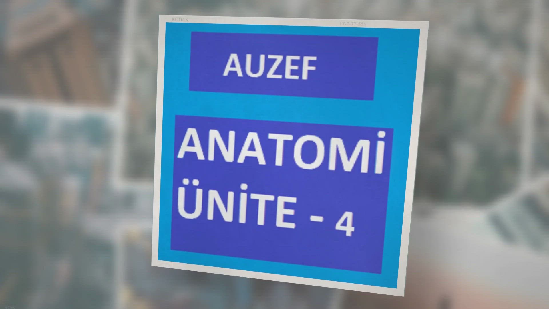 'Video thumbnail for Anatomi Ünite -4'