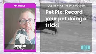 Video thumbnail for jaygish's pet is a Venom-ous talent. Incredibly trained!