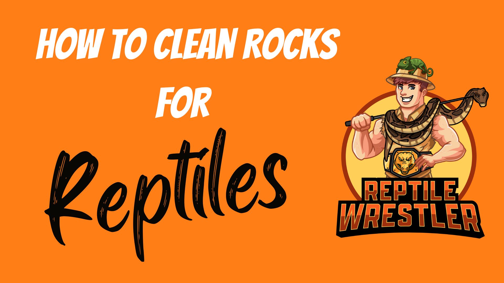 Video thumbnail for How to Clean Rocks for Reptiles?