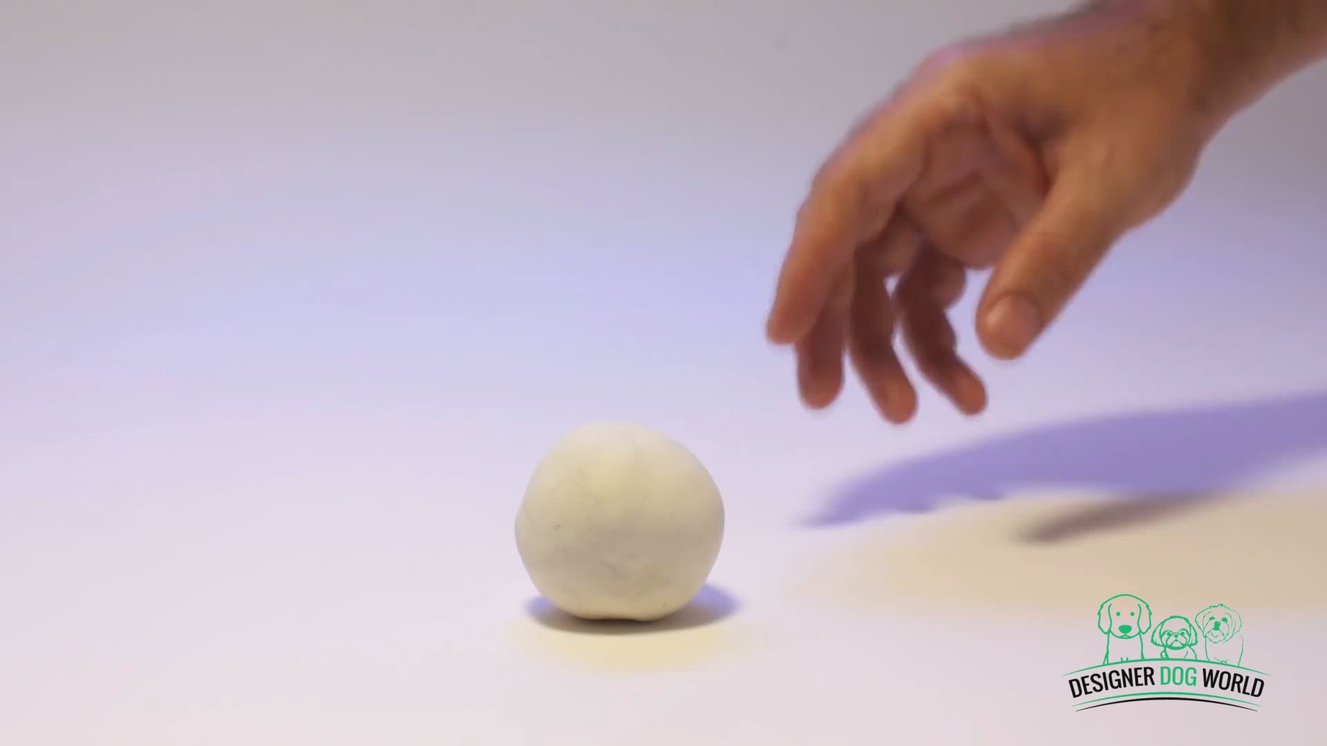 Video thumbnail for Designer Dog World