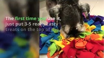Video thumbnail for How to use a snuffle mat by Ruffle Snuffle