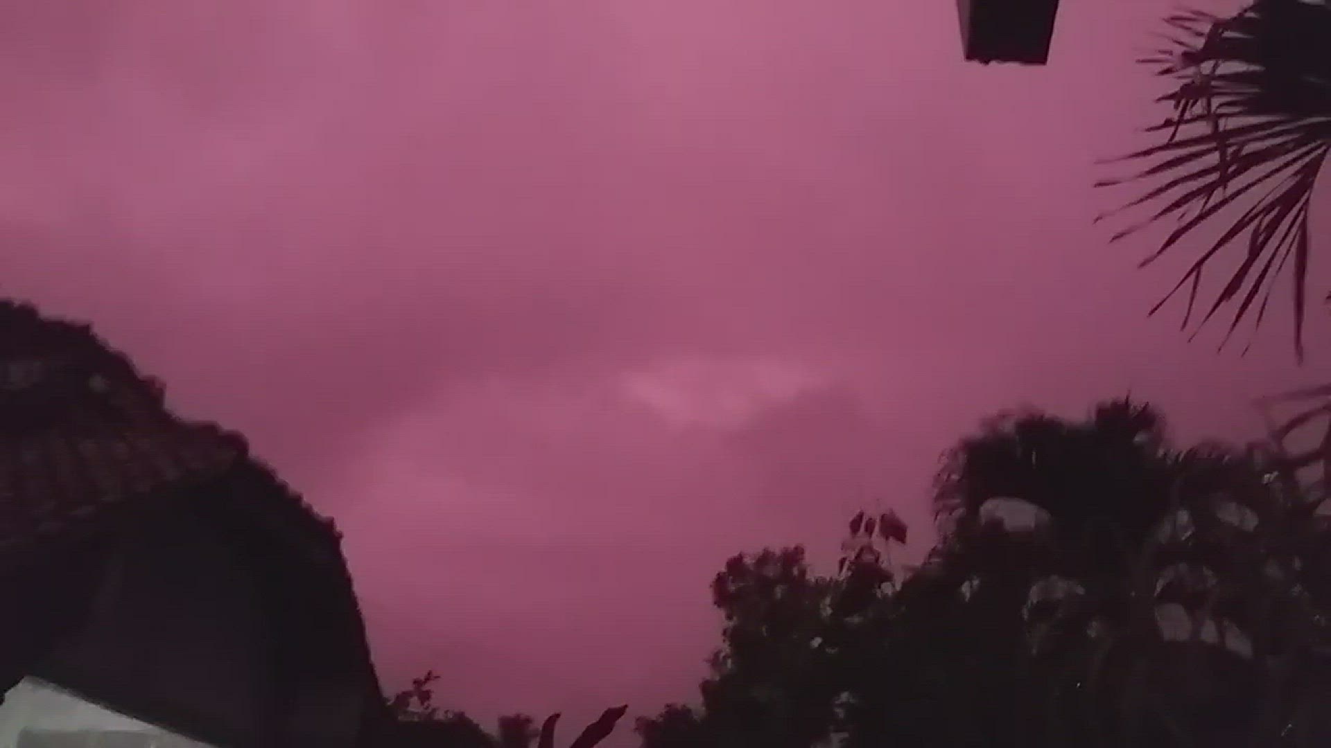 Playlist thumbnail for wewww