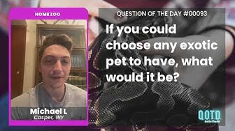 Video thumbnail for Michael wants a fennec fox as a pet. The cutest thing!