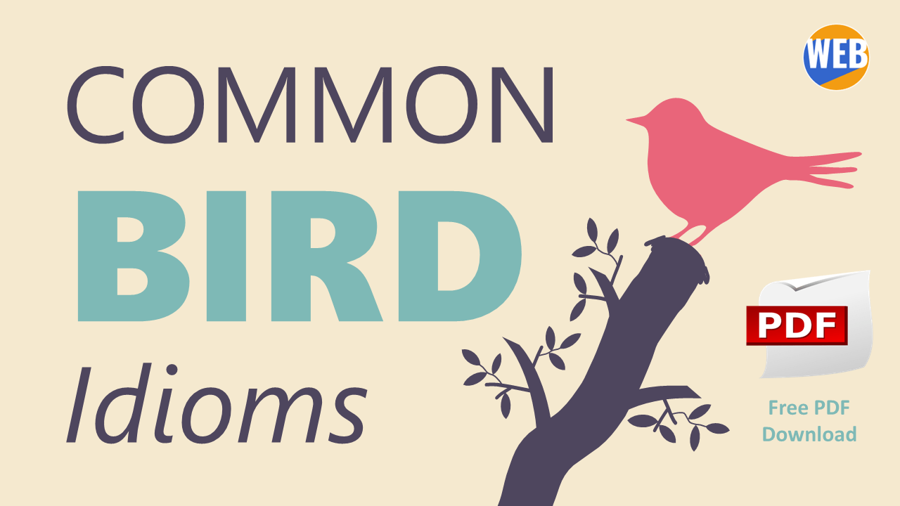 'Video thumbnail for Flying High with Bird Idioms: Exploring the Meaning Behind Common Phrases'