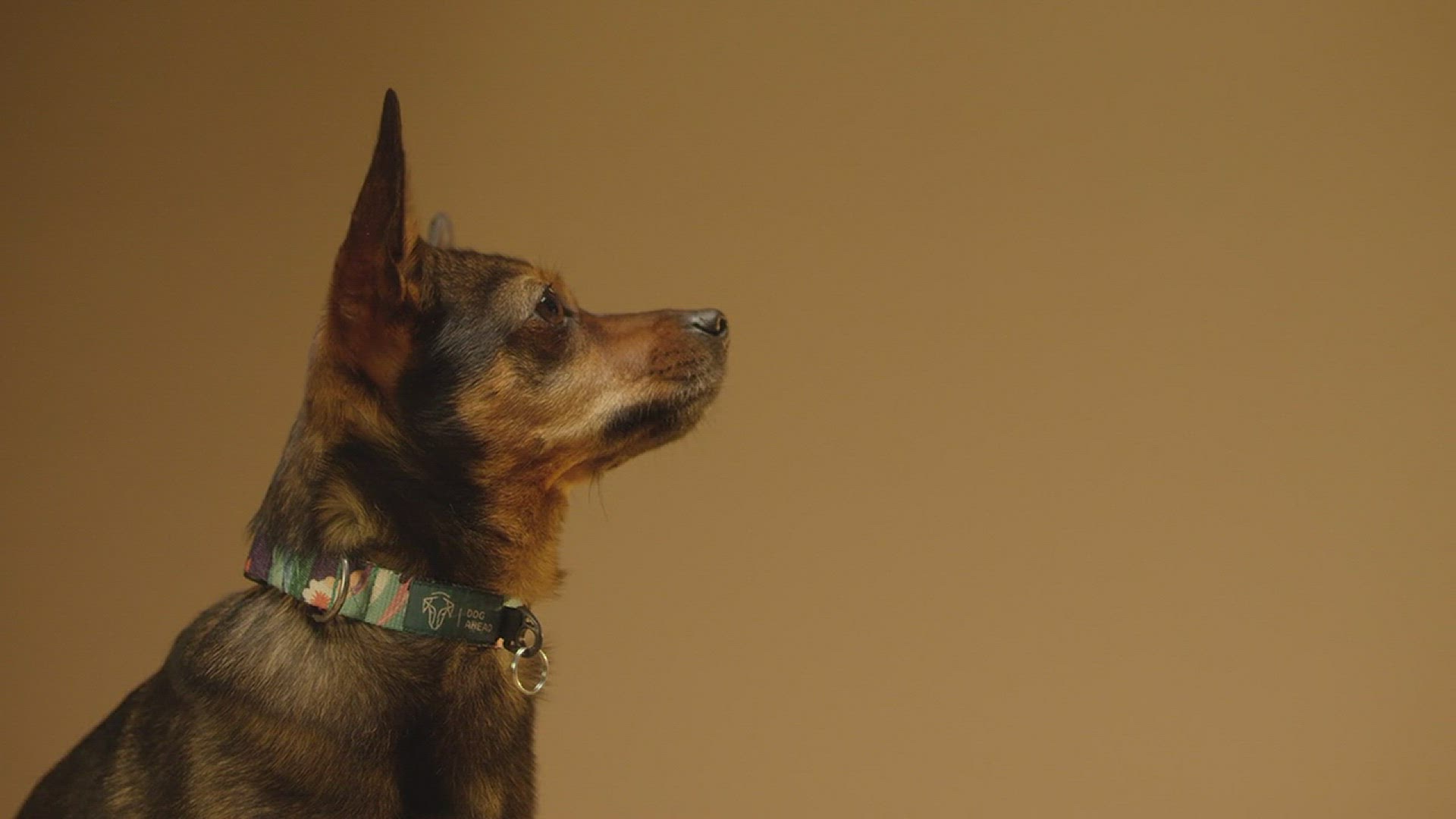 Video thumbnail for Hi 5