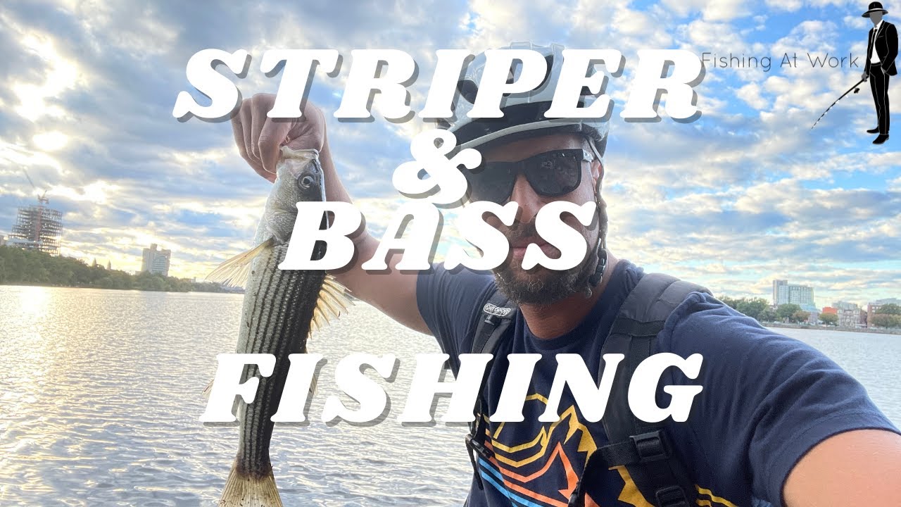 'Video thumbnail for Striper & Bass Fishing At The Muddy River & Charles River Connection'