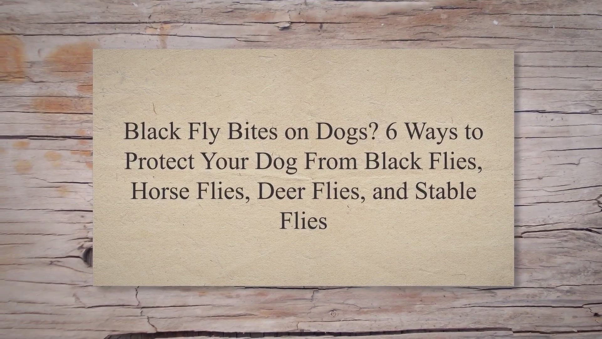 black fly repellent for dogs